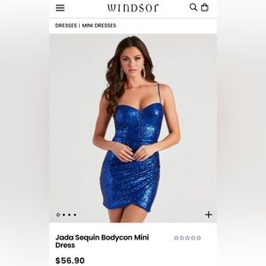 NWT-Blue sequin mini